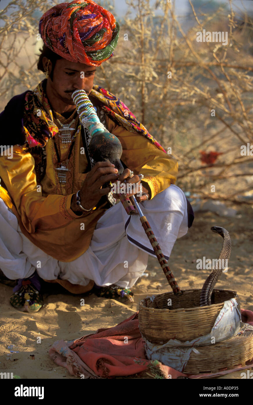 Kalbeliya Zigeuner traditionelle Tänzer und Schlangenbeschwörer nomadischen Ureinwohner indischen Pushkar Rajasthan Wüste Stockfoto