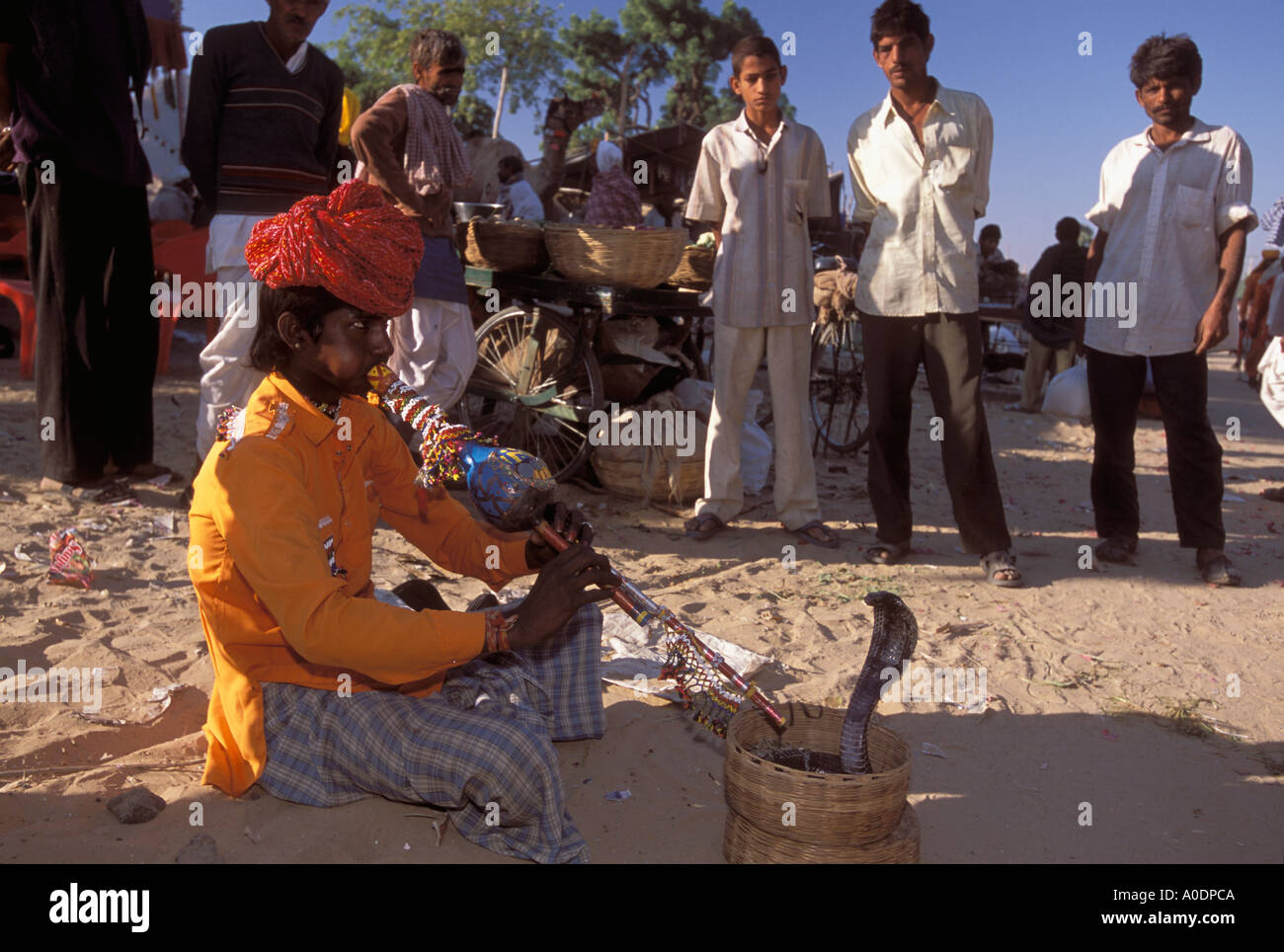 Kalbeliya Zigeuner traditionelle Tänzer und Schlangenbeschwörer nomadischen Ureinwohner indischen Pushkar Rajasthan Wüste Stockfoto