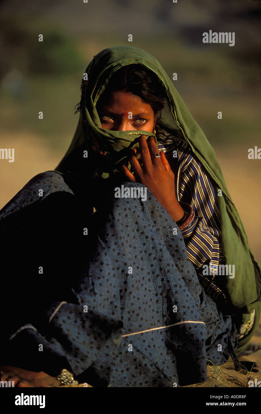 Bauriya Zigeuner Mädchen Pushkar Rajasthan Wüste Indien Stockfoto