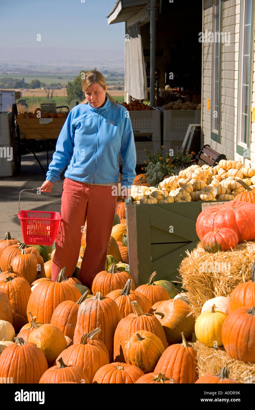 Eine Frau kauft für Kürbisse auf einem Bauernmarkt im Canyon County Idaho Stockfoto