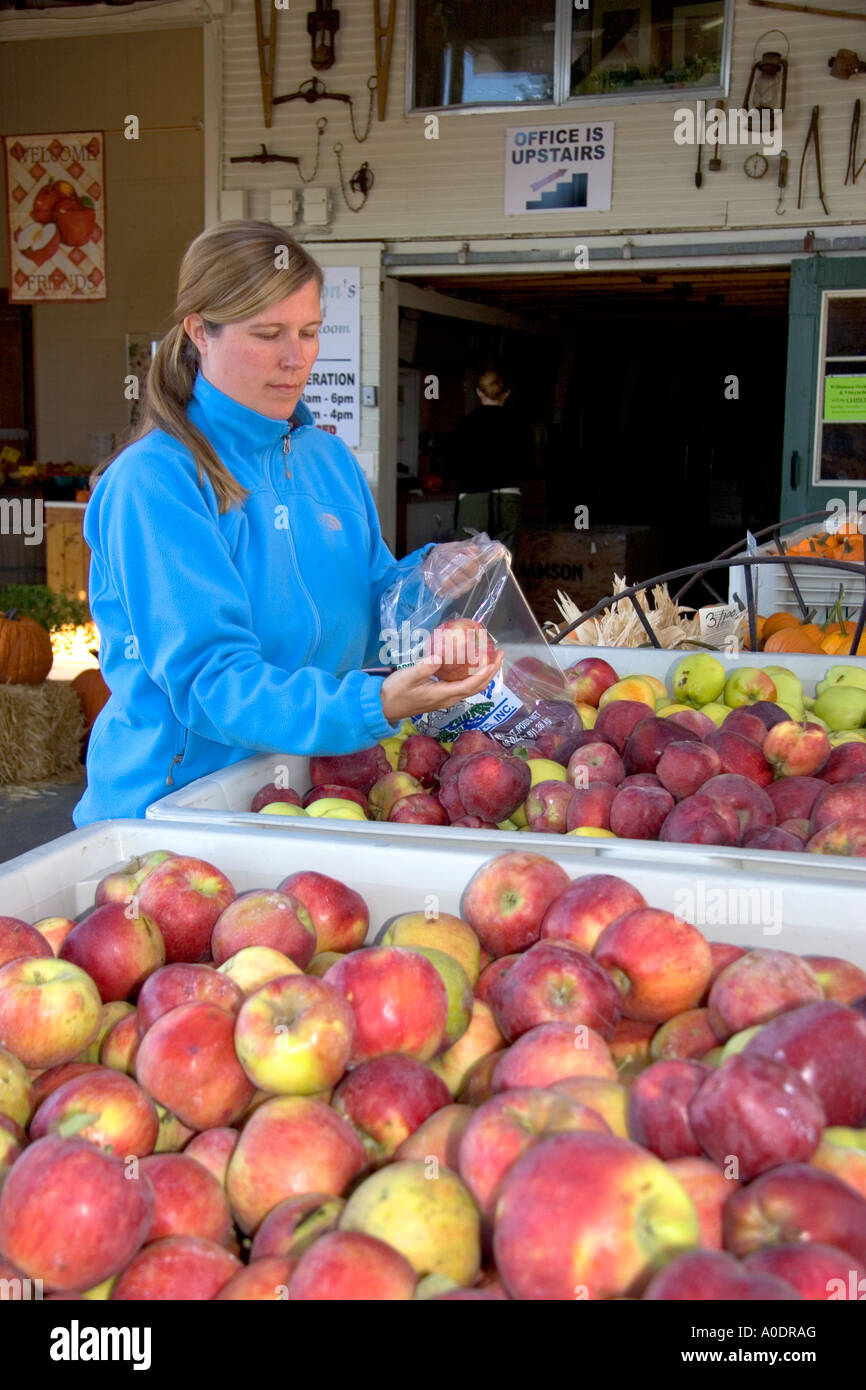 Eine Frau kauft für Äpfel auf einem Bauernmarkt im Canyon County Idaho Stockfoto