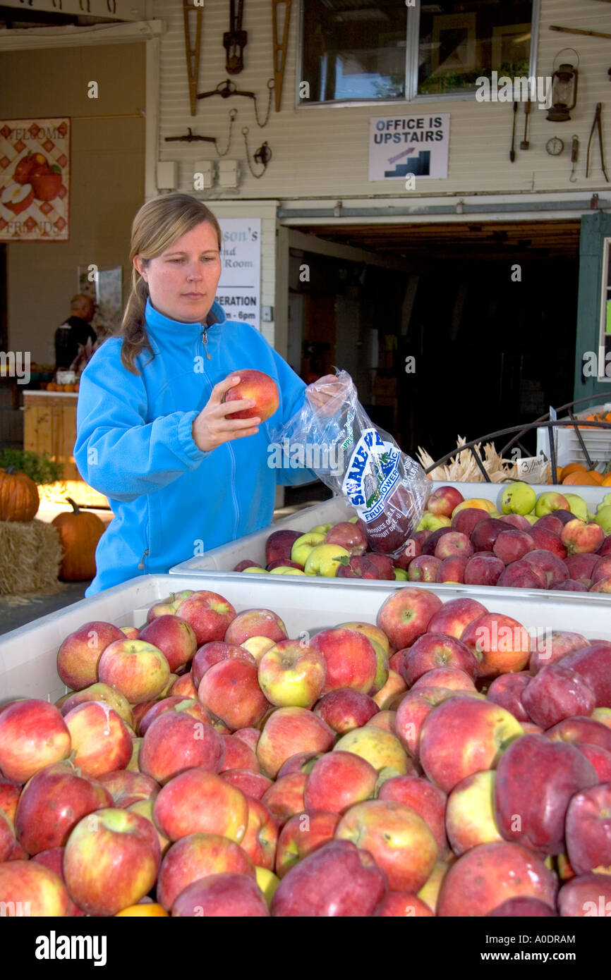 Eine Frau kauft für Äpfel auf einem Bauernmarkt im Canyon County Idaho Stockfoto