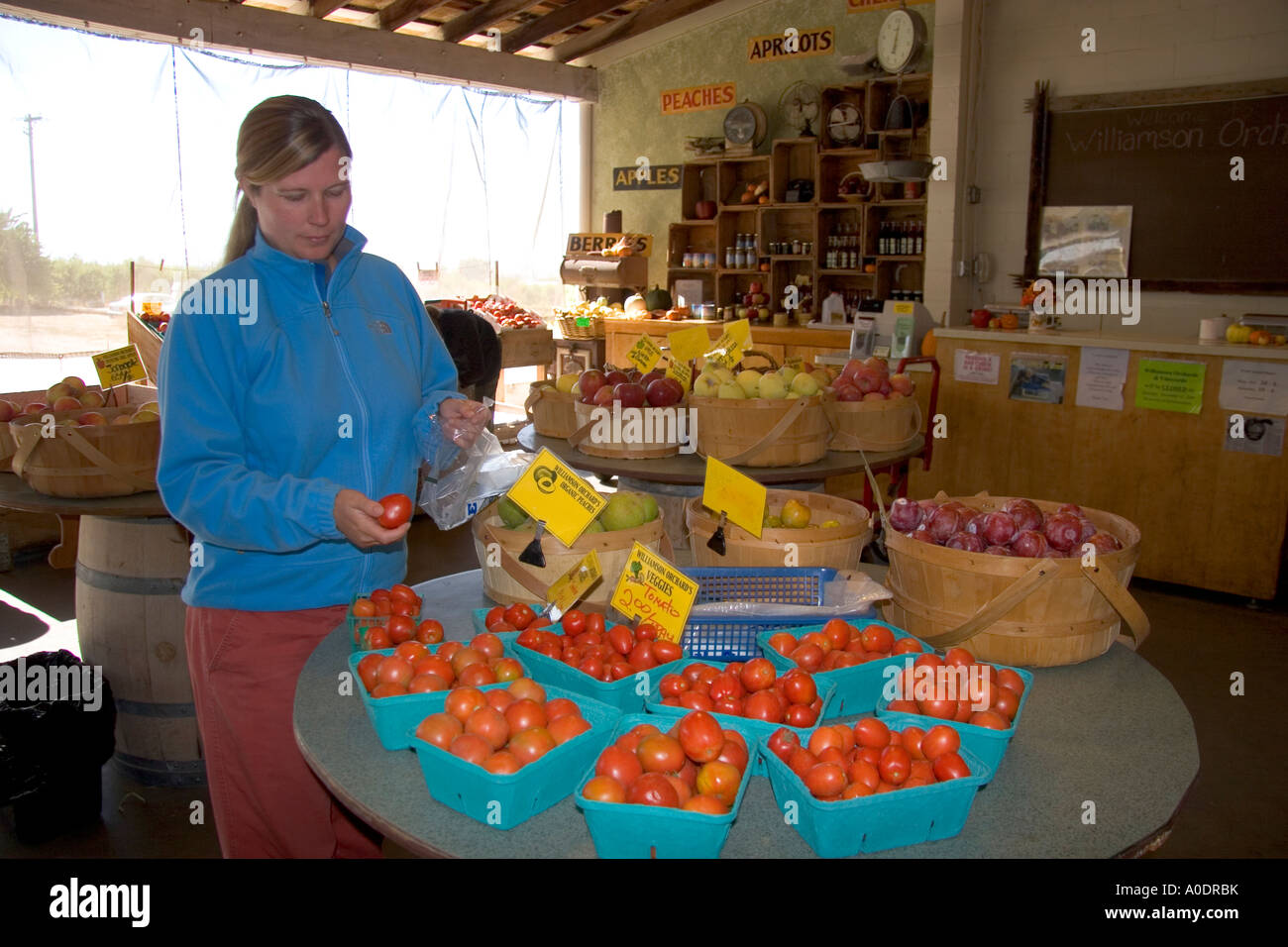 Eine Frau kauft bei einem Bauernmarkt im Canyon County Idaho Stockfoto