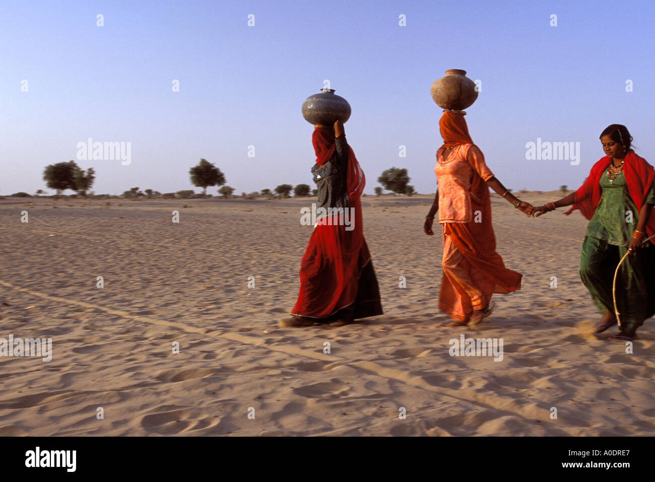 Bhil indigene Frauen Wasser Krüge auf ihren Köpfen tragen Wüste überleben Rajasthan Indien Stockfoto
