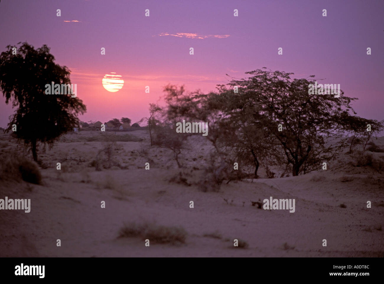 Bishnoi Indianerdorf Indien Rajasthan Wüste Stockfoto