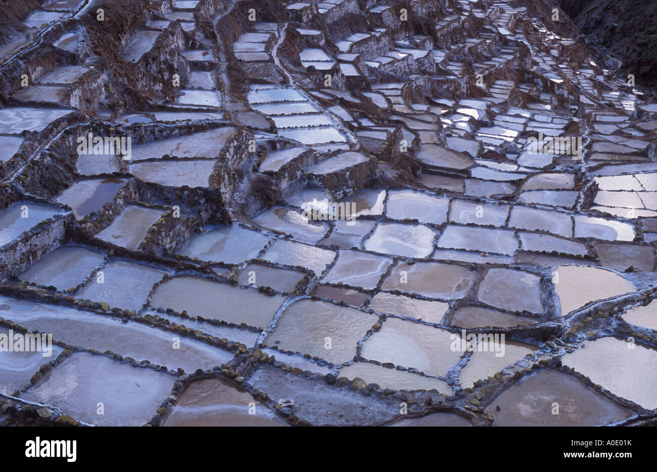 Salinen Salinas Cuzco Bereich Peru Stockfoto