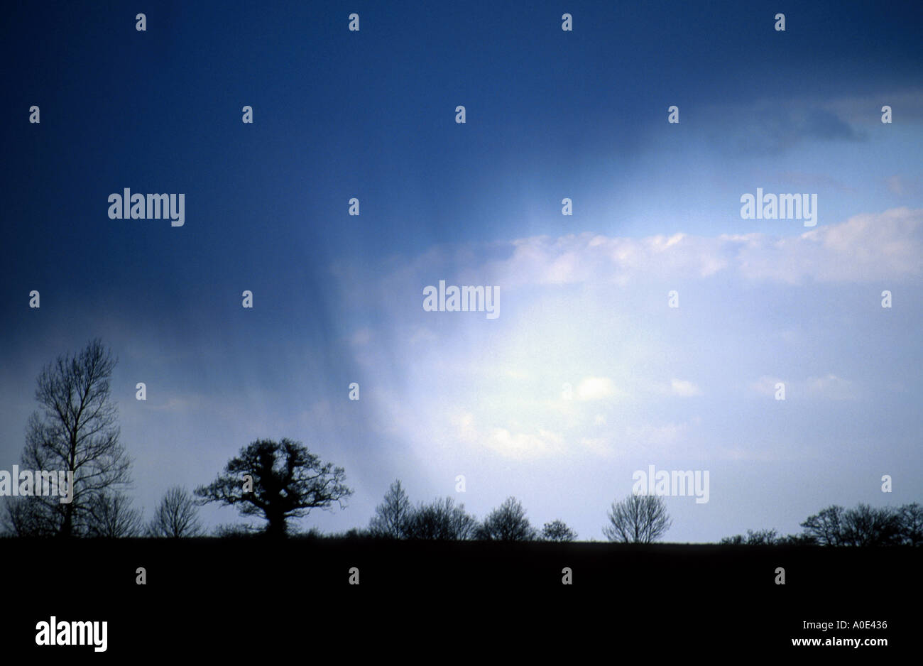 Regendusche fegen über Silhouetten der Bäume Coltishall Norfolk uk Stockfoto