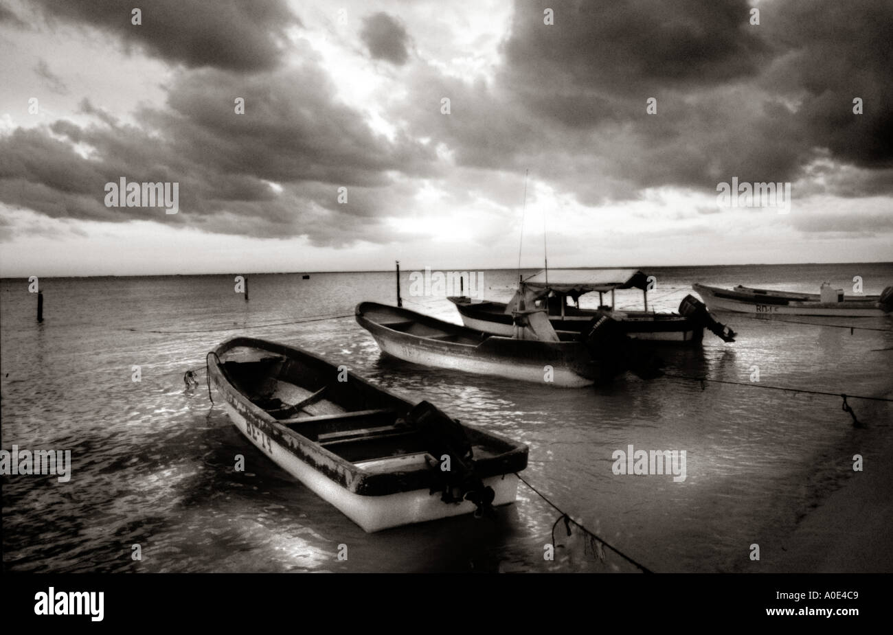 Angelboote/Fischerboote in einem ruhigen Meer Isla Mujeres, Mexiko Stockfoto