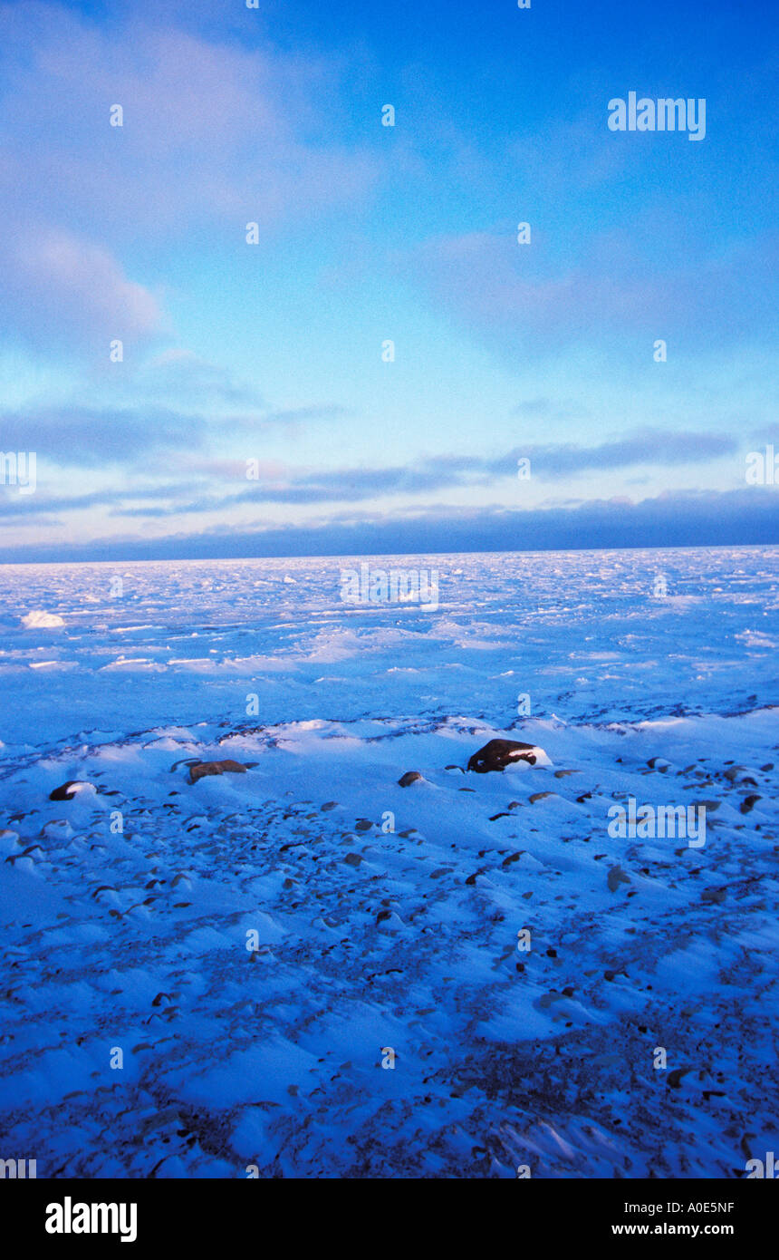 Wapusk National Park Hudson Bay Cape Churchill Manitoba Kanada Nordamerika Polarkreis gefrorene Tundra-Landschaft-Schnee-Eis Stockfoto