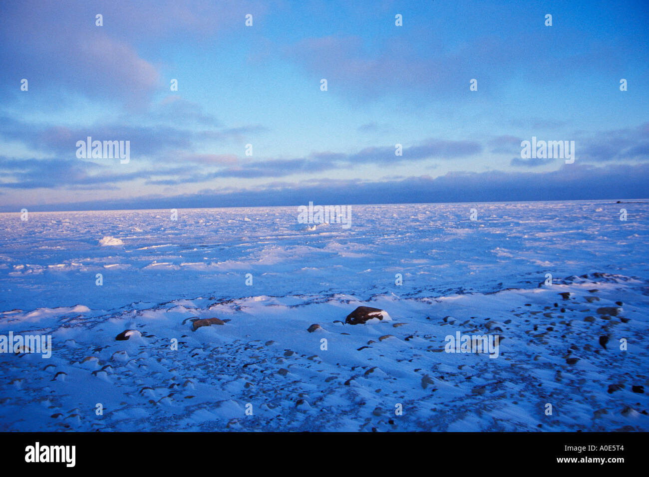 Wapusk National Park Hudson Bay Cape Churchill Manitoba Kanada Nordamerika Polarkreis gefrorene Tundra-Landschaft-Schnee-Eis Stockfoto