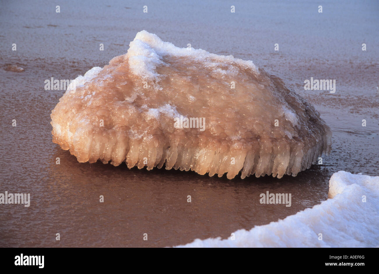 Stück Eis am Meer Stockfoto