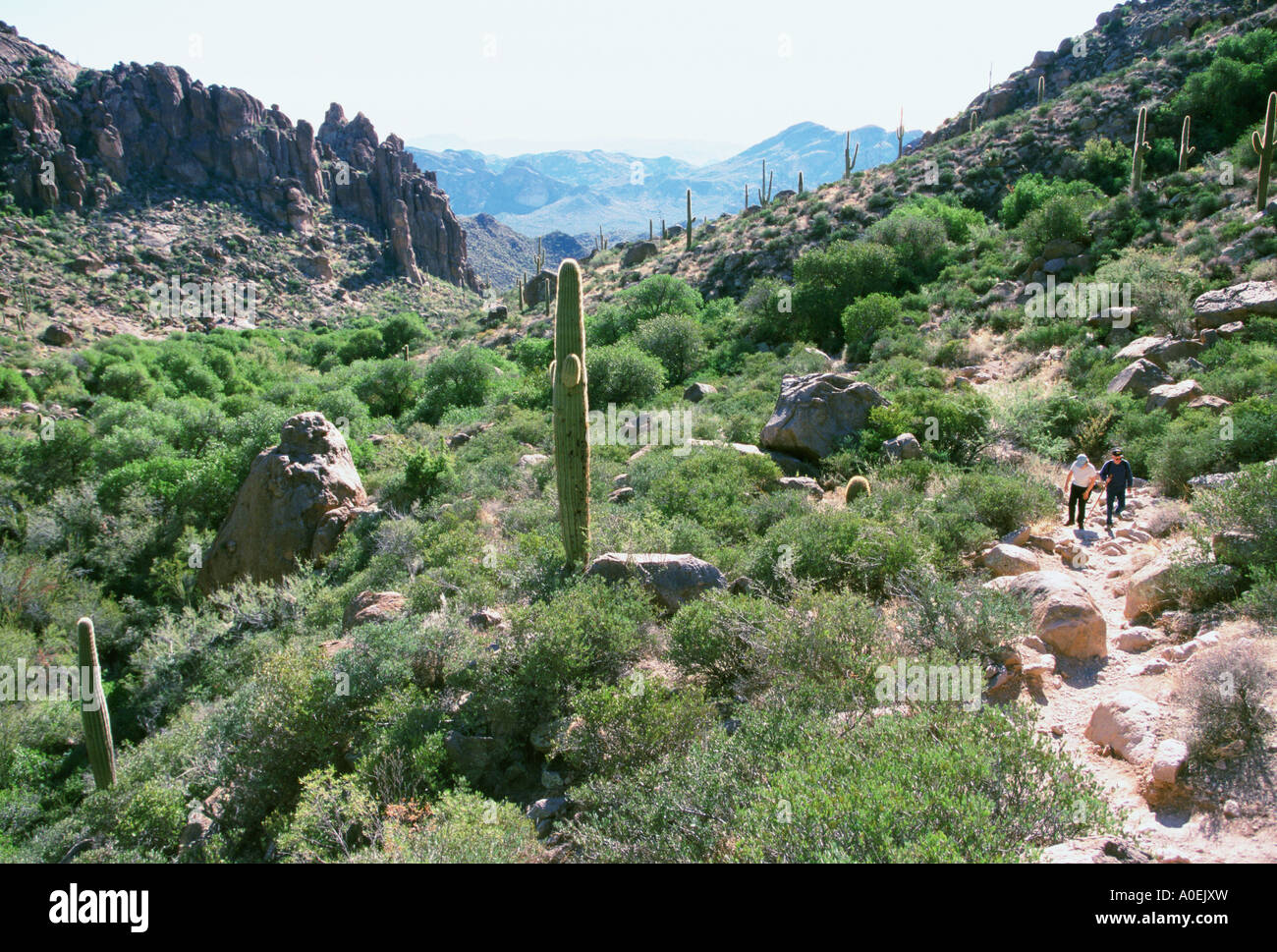 Ansicht des Canyons in den Superstition Mountains mit paar Wandern auf Spuren Arizona USA Stockfoto
