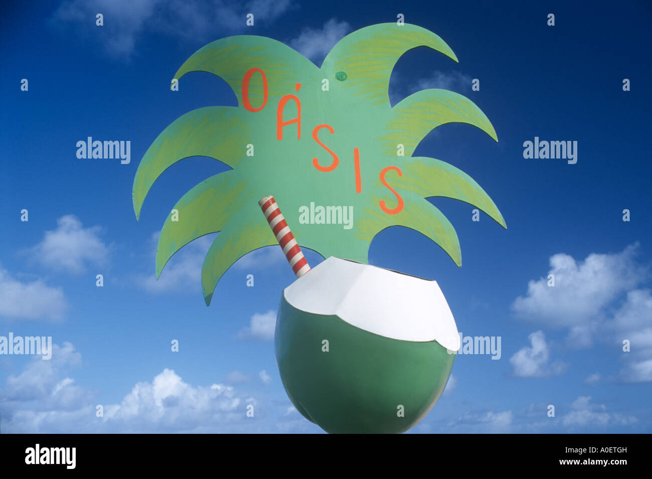 Wurf Bin Recife Brasilien Stockfoto