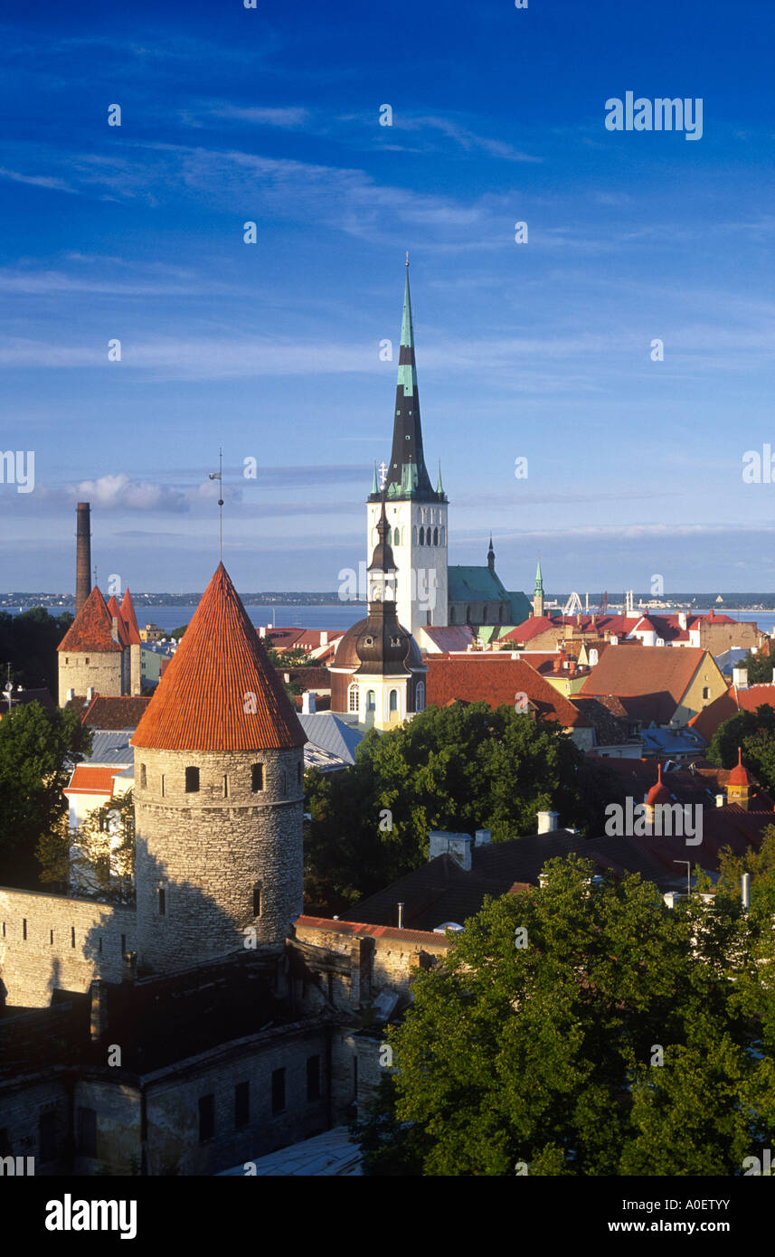 Skyline der Altstadt Tallinn Estland Stockfoto