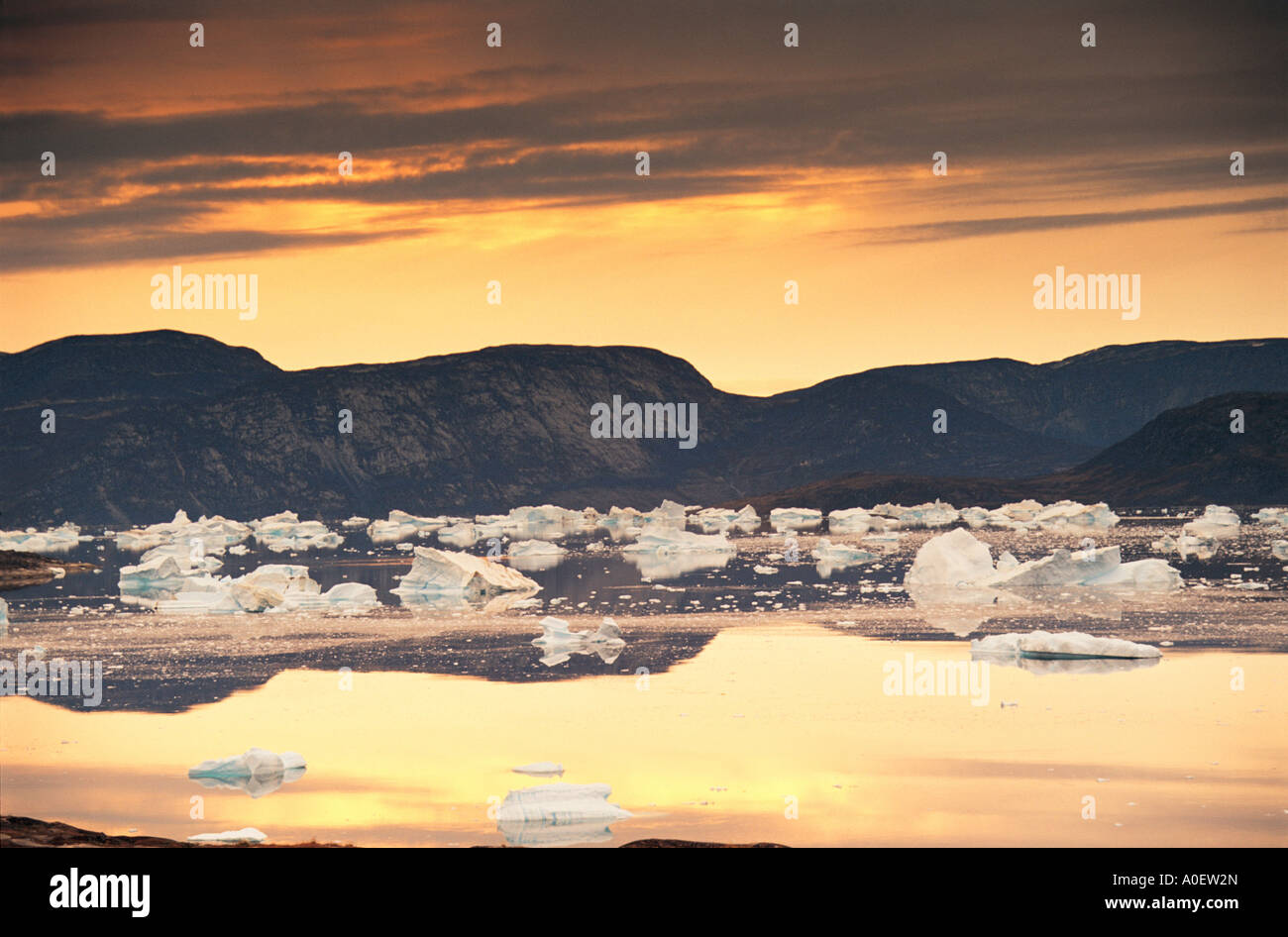 Diskobucht Grönland Stockfoto