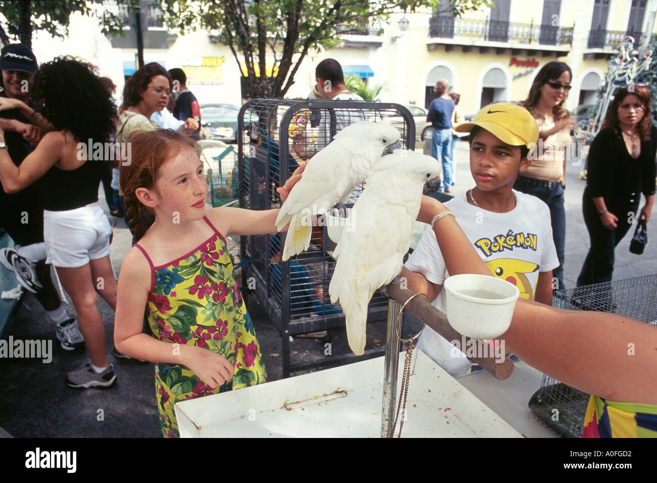 Verkauf von Kakadus auf dem Marktplatz in der Altstadt von San Juan Stockfoto
