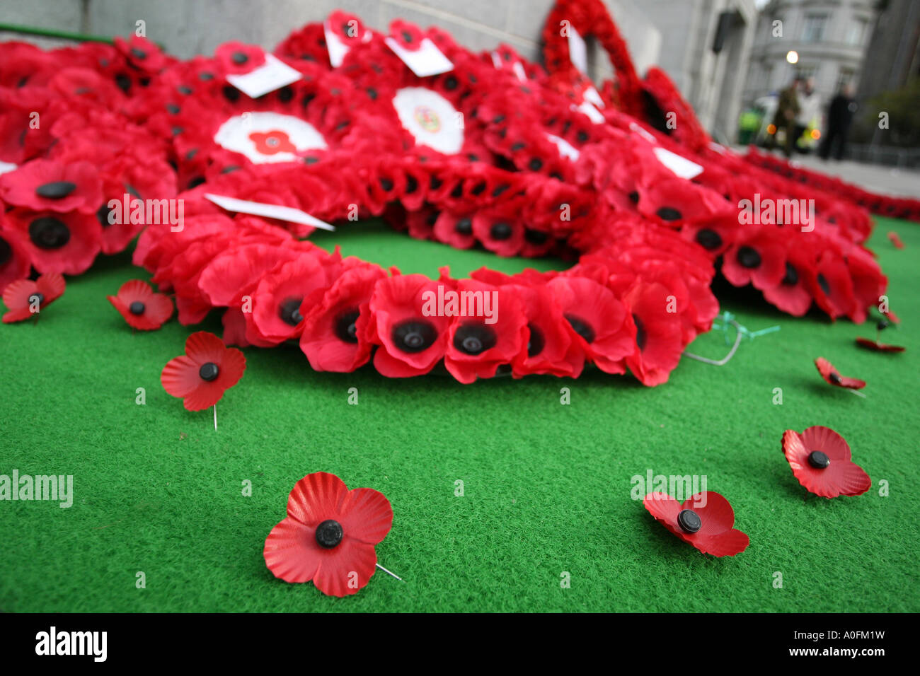 Mohn Kranz Remembance Day Service in Aberdeen Stockfoto