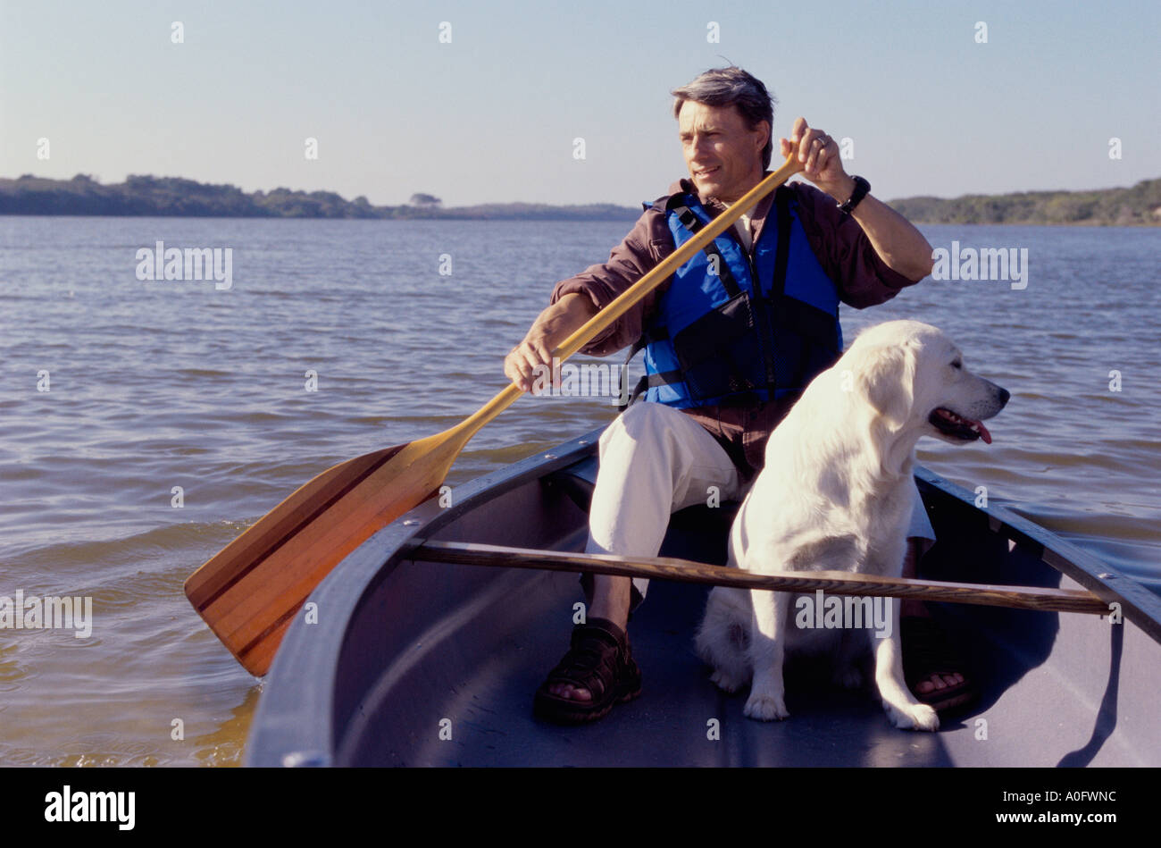 Mitte erwachsenen Mannes in einem Ruderboot mit seinem Hund Stockfoto