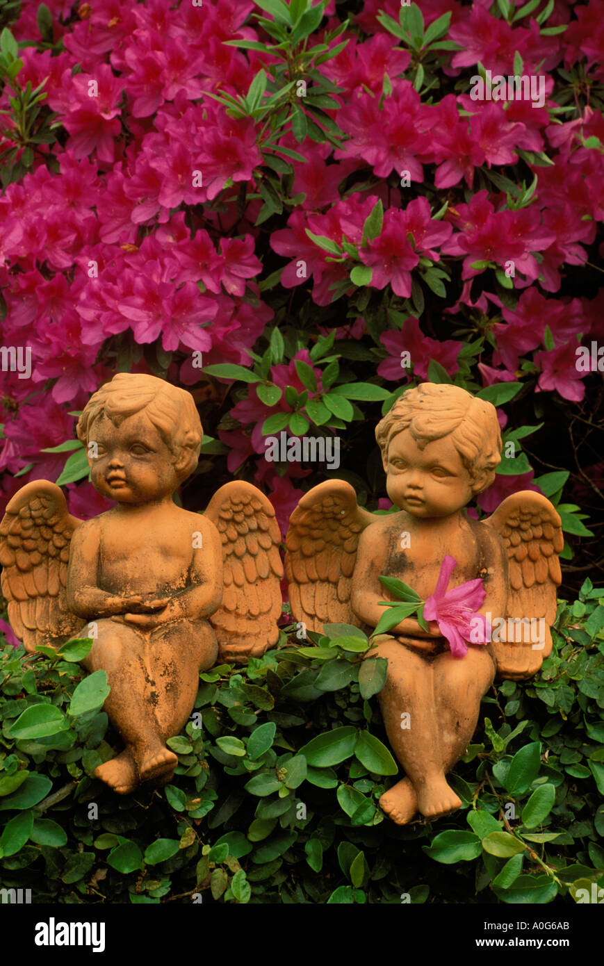 Romantik: Rote Keramik Engel Tonfiguren sitzt auf einer Mauer umgeben von Efeu und blühenden Azaleen, Georgia USA Stockfoto