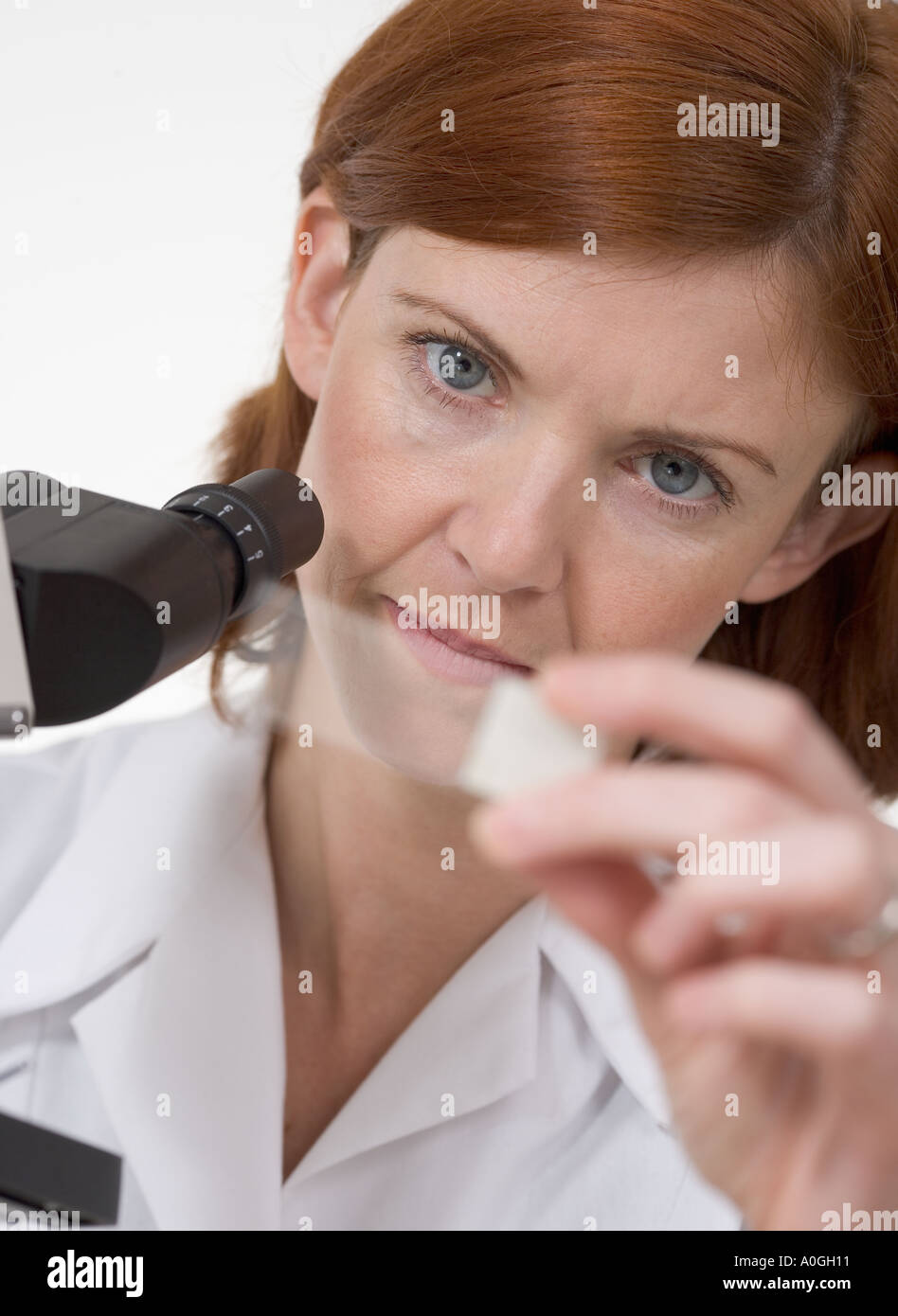 Frau mit Mikroskop und Folie Stockfoto