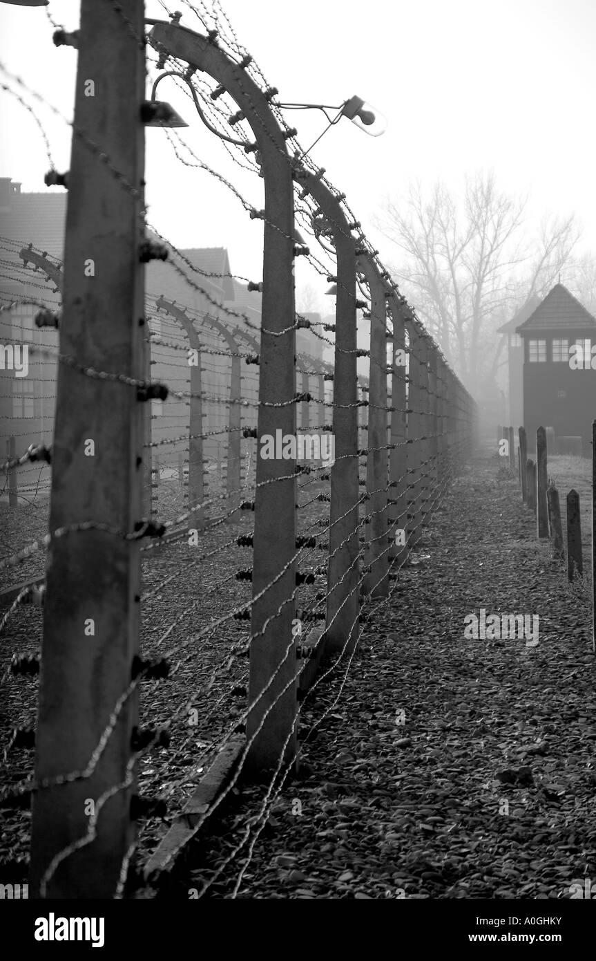 stacheldraht-umzaunung-in-auschwitz-birkenau-kz-in-der-nahe-von-krakau-polen-schwarz-weiss-foto-a0ghky.jpg