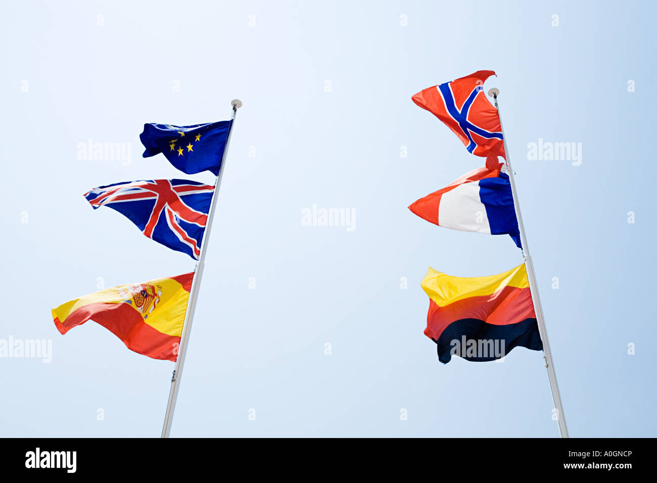 Flaggen von Europa Stockfoto