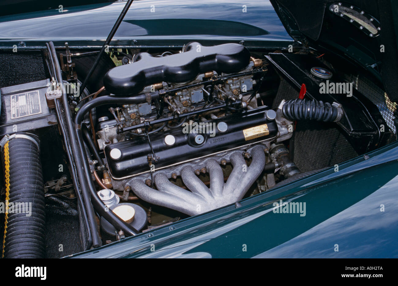 Bristol 404 Coupé. 1953 bis 1955. 1971cc Stockfoto