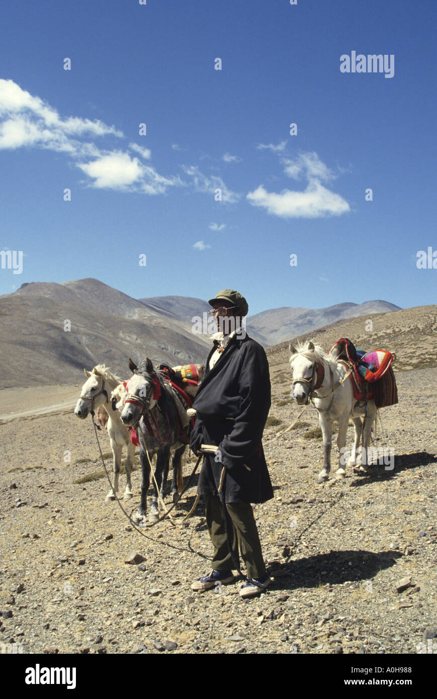 Pilger nach Mt Kailash Tibet am meisten verehrten Berg, führt seine Packpferde Stockfoto