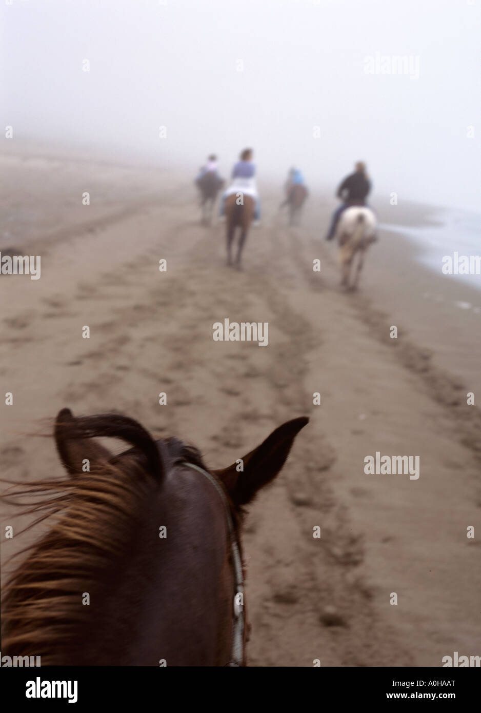 Reiten am Strand von Montana de Oro State Park, Kalifornien. Stockfoto Reiten am Strand von Montana de Oro State Park, Kalifornien. Stockfoto