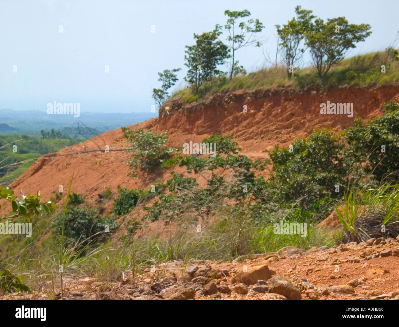 Erosion durch Abholzung Stockfoto