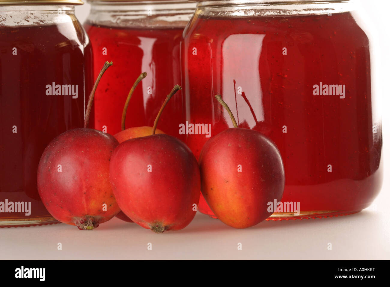 Gläser und Zutaten von Crabapple Gelee Stockfoto