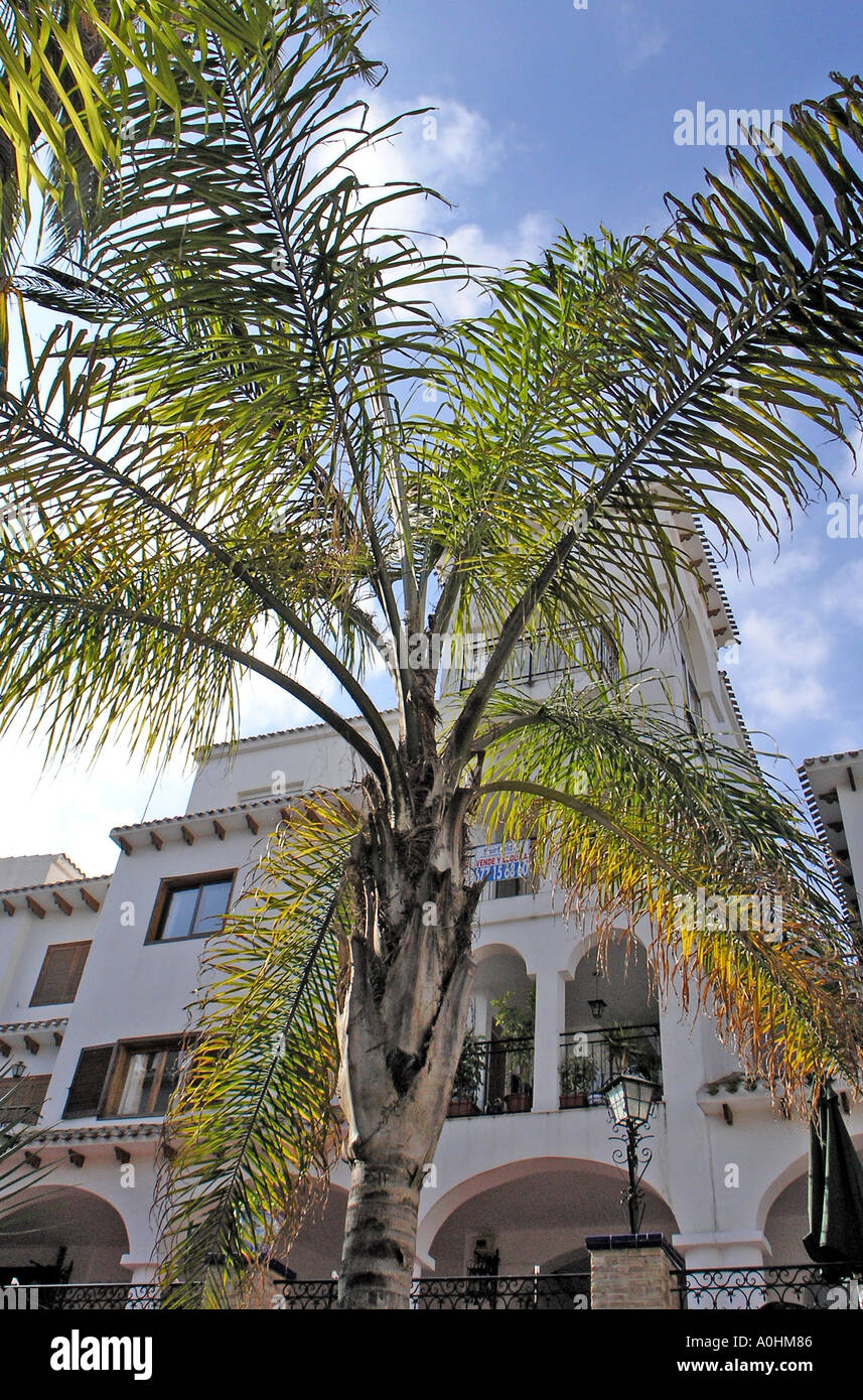 Villamartin Plaza Nr Torrevieja Costa Blanca Spanien Stockfoto