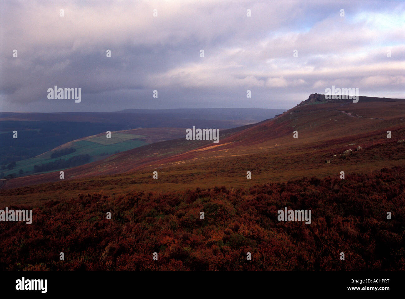 Dovestone Tor auf Derwent Kante, Derbyshire, Peak District National Park, England, UK. Stockfoto
