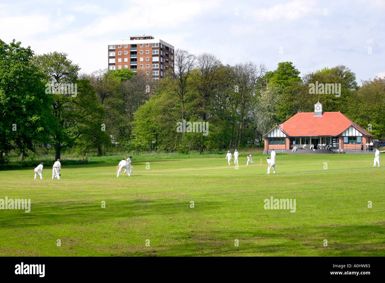 Cricket-Match in Sefton Park Liverpool Stockfoto