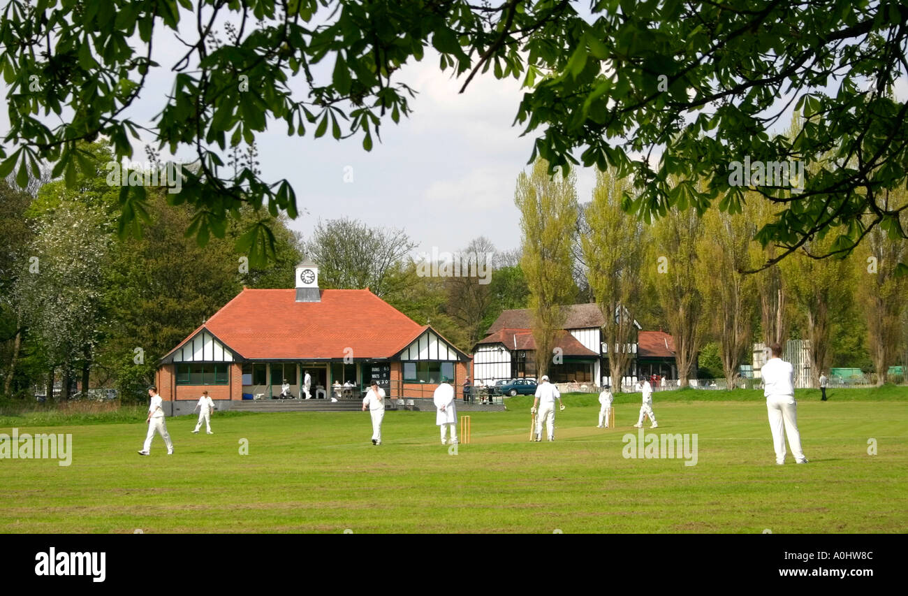 Cricket-Match in Sefton Park Liverpool Stockfoto