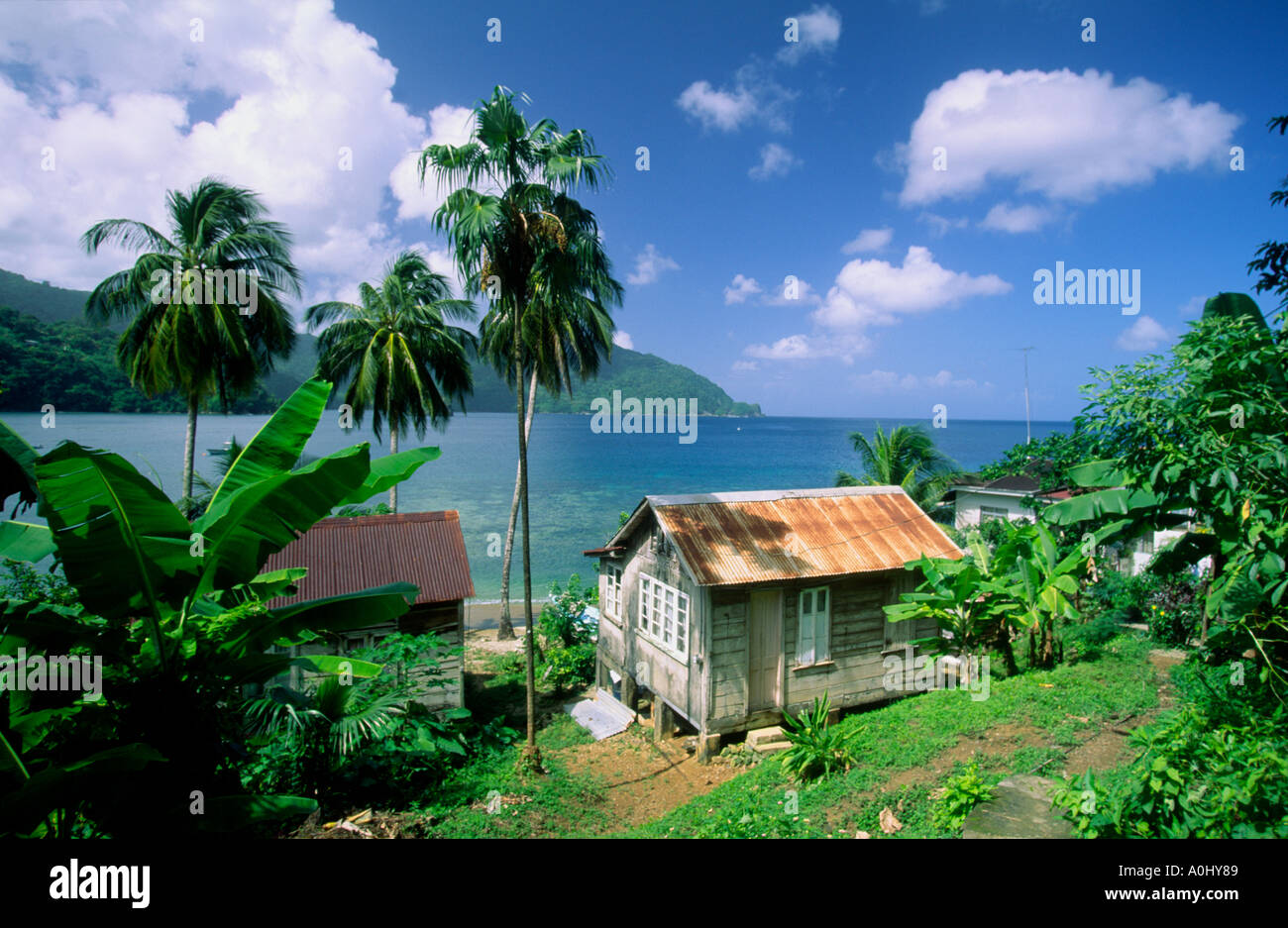 Tobago Charlotteville Mann des Krieges Bucht kleine Hütte Stockfoto