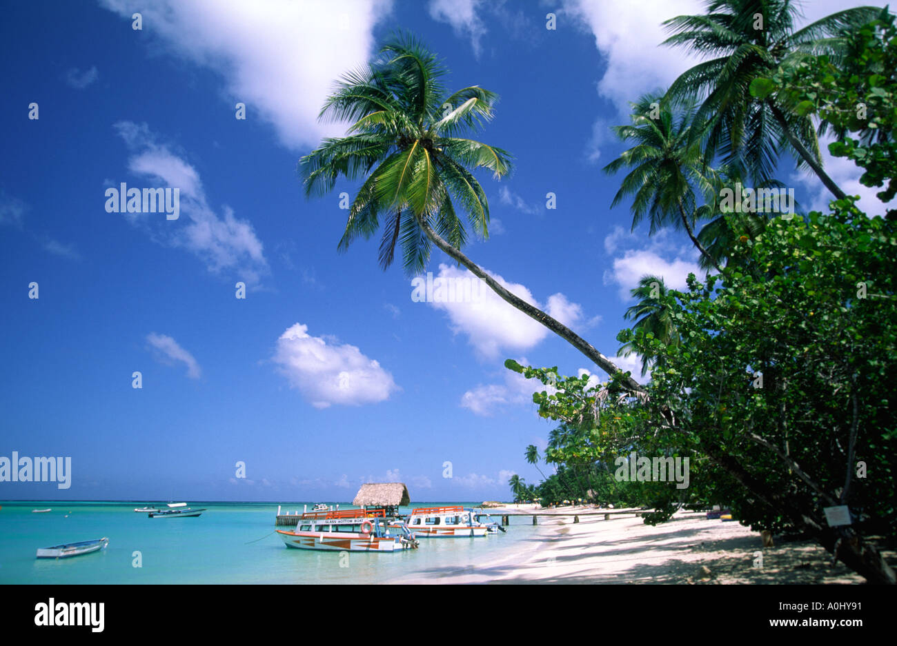 Tobago Pigeon Point Karibik Strand Palmen Stockfoto