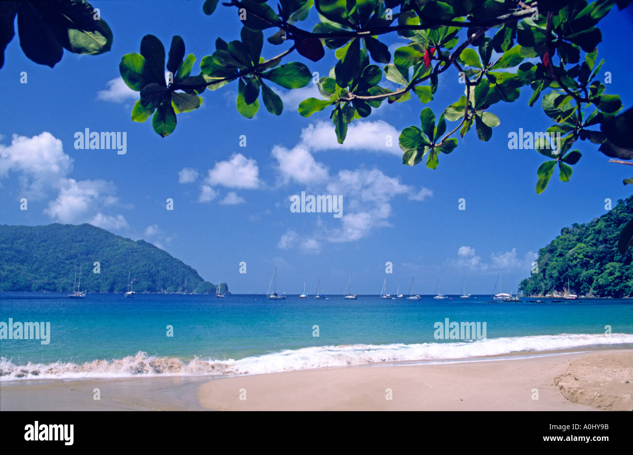 Tobago Charlotteville Mann des Krieges Bucht Strand Stockfoto