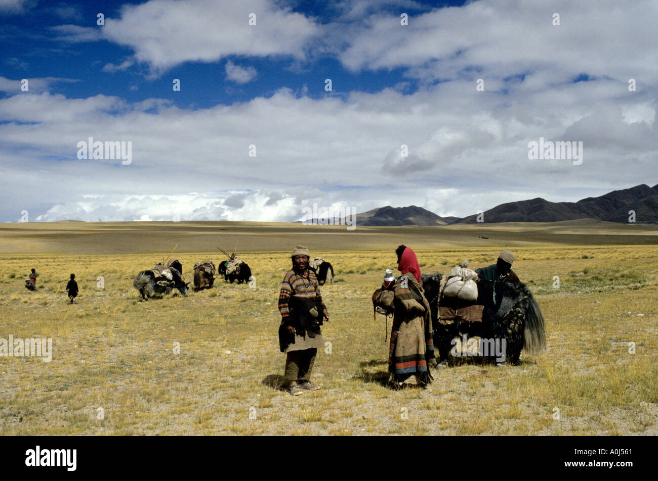 Pilgern führt eine Yak-Karawane zu den heiligsten Mt Kailash in Westtibet Stockfoto