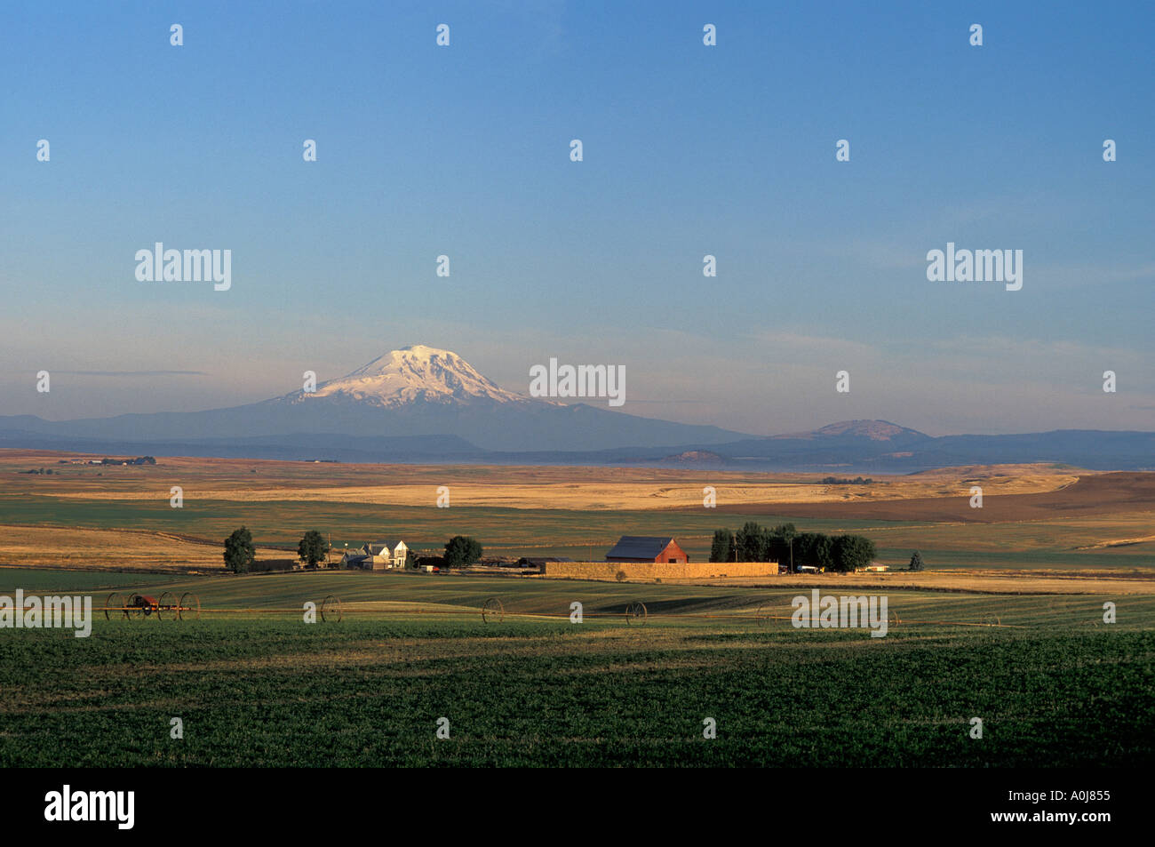 Triple l Farm und Adams klickitat Valley Washington usa mount Stockfoto