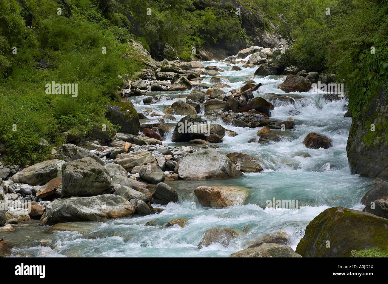 Waldbach, Horizontal gedreht, Uttaranchal, Indien Stockfoto