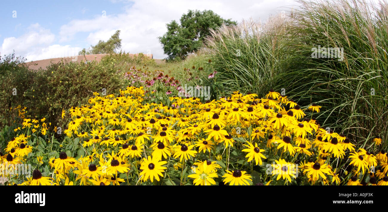 Garten Bio Ryton Ryton Gärten Warwickshire Midlands england Stockfoto