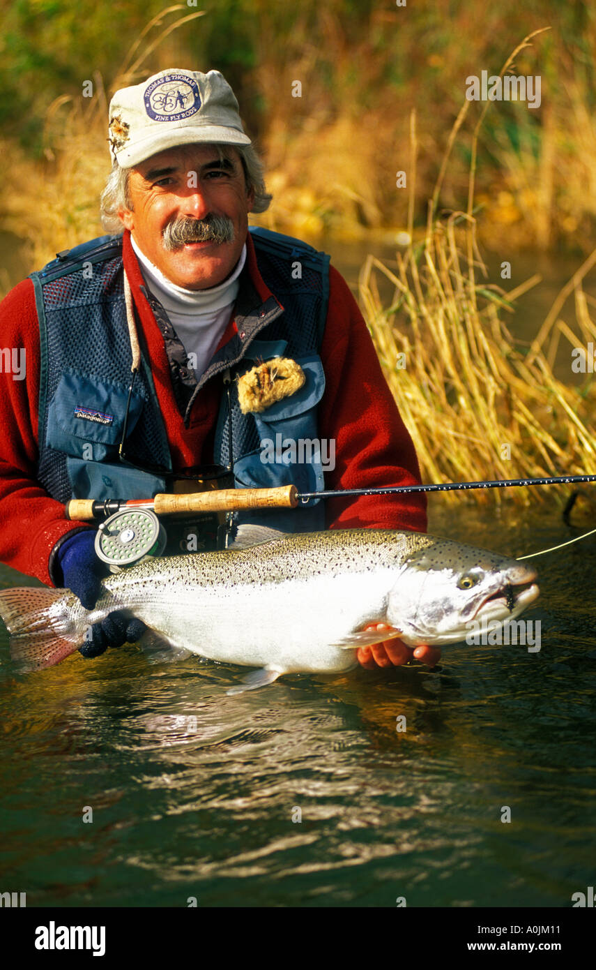 SOUTHEAST ALASKA fliegen Fischer Freigabe Trophy Regenbogenforellen in Naknek River in der Nähe von King Salmon Alaska Stockfoto