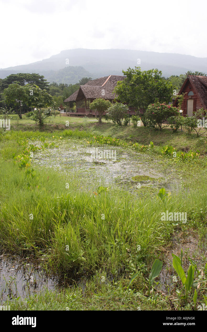 Bungalows im Phu Kradung Nationalpark in Nord-Ost Thailand es sind 50km gut markierte Wanderwege über das bewaldete Plateau Park sowie ein 9km Aufstieg zum Gipfel Stockfoto