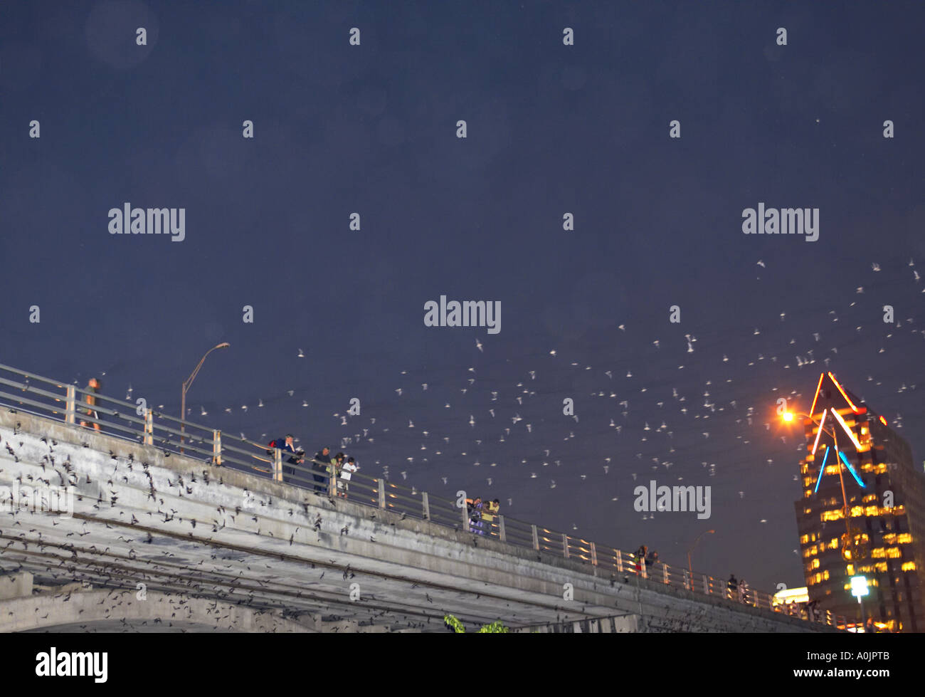 TEXAS Austin mexikanischen Fledermäuse fliegen von der Congress Street Bridge in der Dämmerung um Welten größte städtische Fledermauskolonie ernähren Stockfoto
