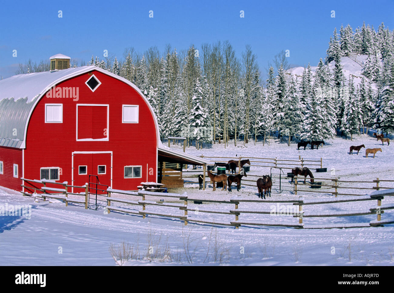 Pferdestall im Winter Stockfoto