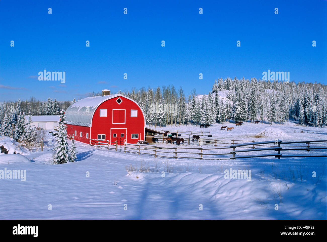 Pferdestall im Winter scenic Stockfoto