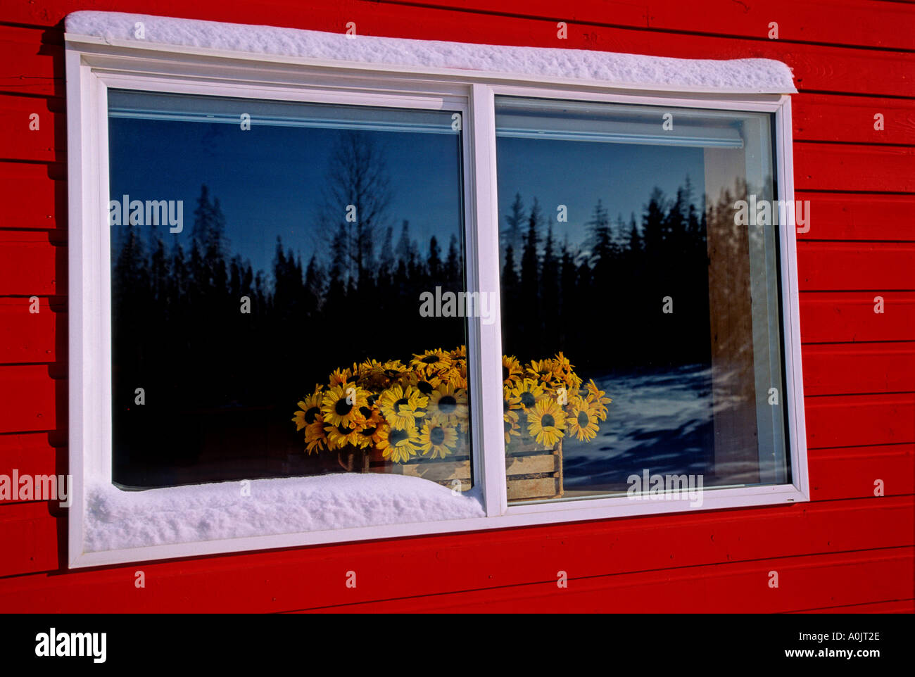 Fenster mit Blumen Stockfoto
