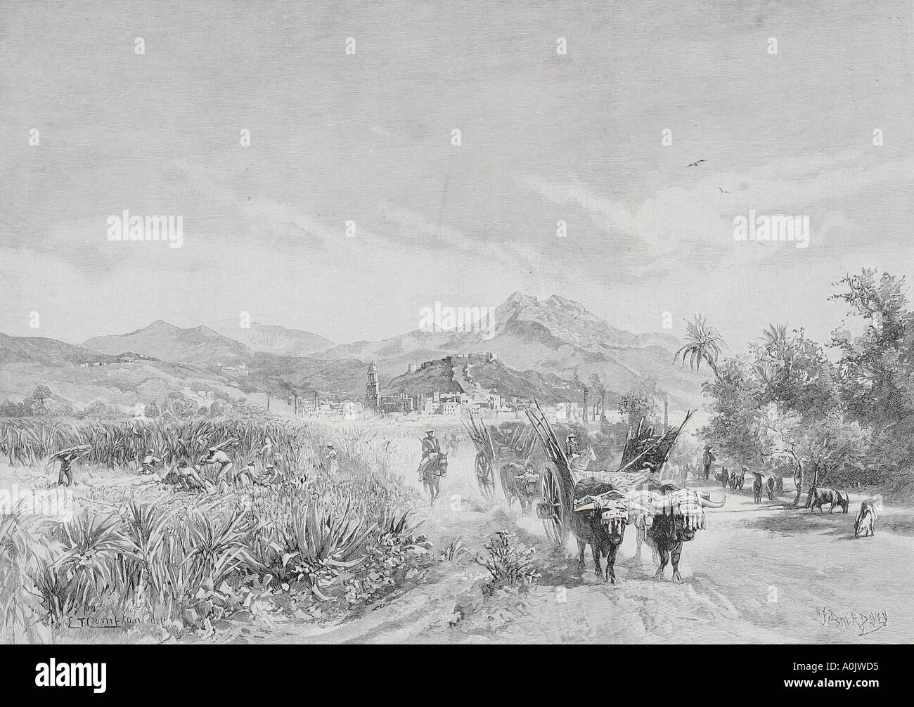Malaga, Spanien, aus dem Zucker Felder ca. 1890 von Edward T Compton, 1849 - 1921. Stockfoto
