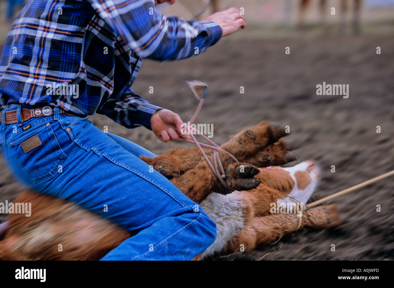 Binden Sie Abseilen Stockfoto